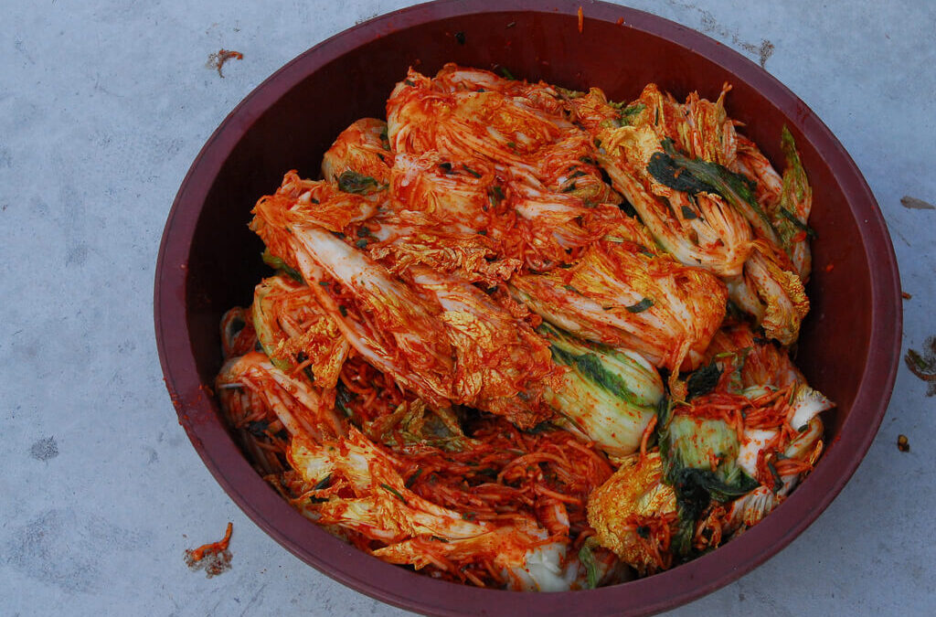 Healing the Digestive Tract With Fermented Foods