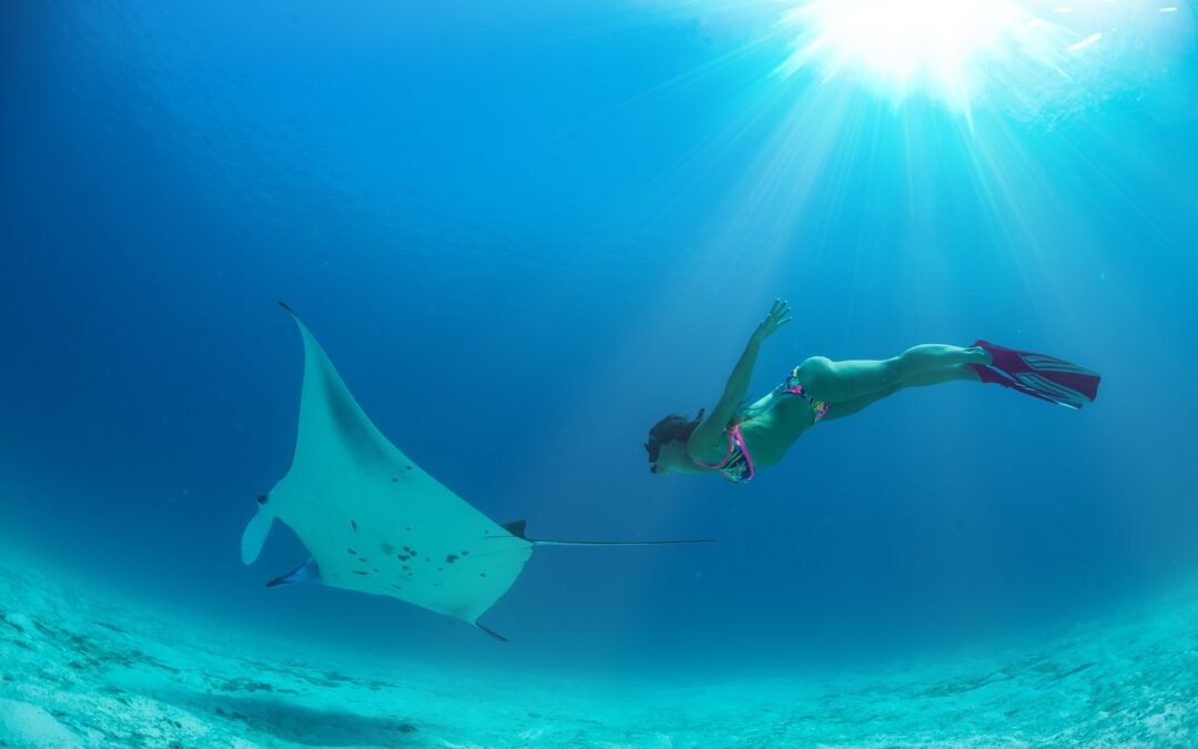 Four reasons you need to go Freediving